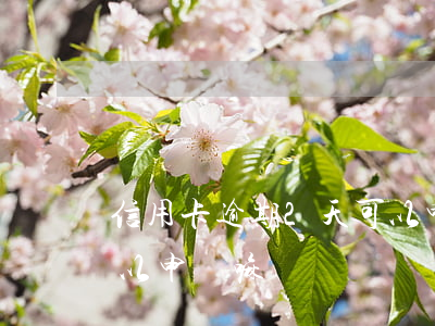 信用卡逾期2天可以申訴(信用卡逾期2天可以申訴嘛)
