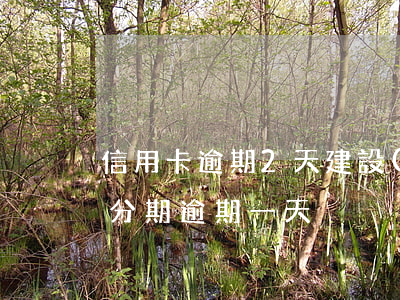信用卡逾期2天（建設(shè)信用卡二次分期逾期一天）