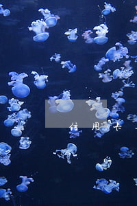 信用卡逾期2天怎么扣費(信用卡2天算逾期嗎)