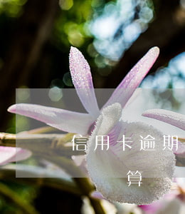 信用卡逾期2天怎么樣 信用卡逾期2天怎么樣計算