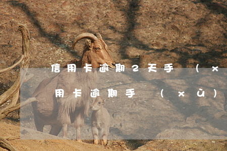 信用卡逾期2天手續(xù)費 200元信用卡逾期手續(xù)費是多少