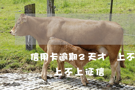 信用卡逾期2天才換上不上征信(信用卡6天沒還上不上征信)