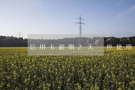 信用卡逾期2天暫停使用-信用卡 暫停使用