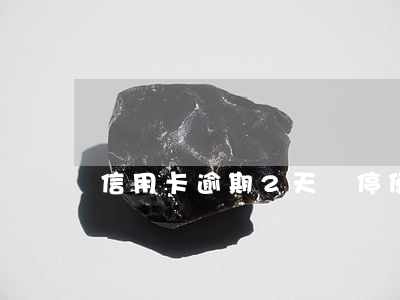 信用卡逾期2天暫停使用(信用卡逾期了2天)