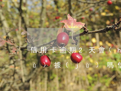 信用卡逾期2天會(huì)上大數(shù)據(jù)嗎(信用卡2萬逾期一年多了)