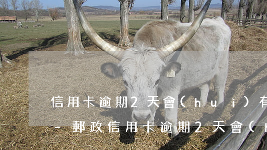 信用卡逾期2天會(huì)有不良記錄嗎-郵政信用卡逾期2天會(huì)有不良記錄嗎