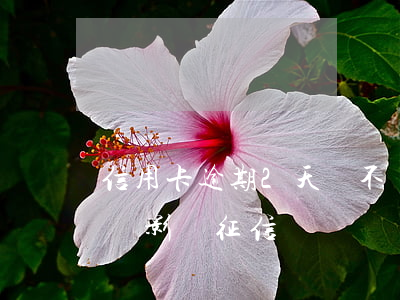 信用卡逾期2天會不會 信用卡逾期2天會不會影響征信