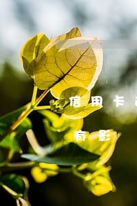 信用卡逾期2天有影響嗎-信用卡逾期2天有影響嗎知乎