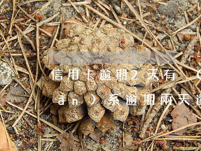 信用卡逾期2天有沒(méi)有關(guān)系(逾期兩天還信用卡有沒(méi)有影響)