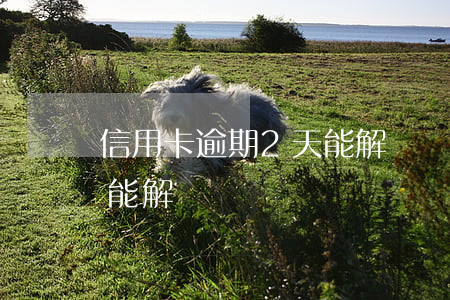 信用卡逾期2天能解凍嗎-信用卡逾期2天能解凍嗎