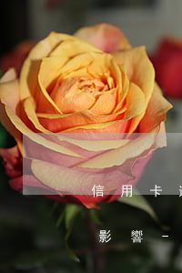 信用卡逾期2天還了最低有沒(méi)有影響-信用卡 逾期2天