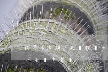 信用卡逾期2天還款沒事吧(逾期兩天還信用卡有沒有影響)