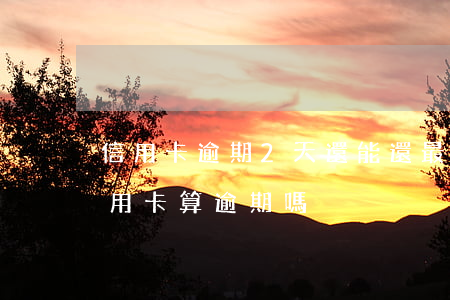 信用卡逾期2天還能還最低嗎(超過兩天還信用卡算逾期嗎)