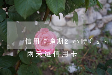 信用卡逾期2小時(shí)又沒事吧(逾期兩天還信用卡)