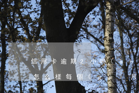 信用卡逾期2小時(shí)會(huì)怎么樣(每個(gè)月信用卡逾期三天)