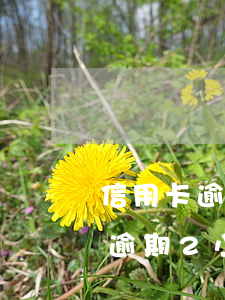 信用卡逾期2小時會有不良記錄嗎-信用卡逾期2小時會有不良記錄嗎怎么辦