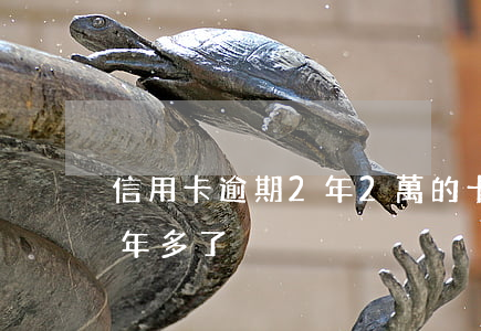 信用卡逾期2年2萬的卡(信用卡2萬逾期一年多了)