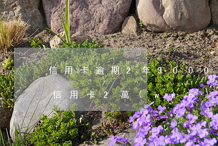 信用卡逾期2年3000會(huì)坐牢(信用卡2萬(wàn)逾期3年會(huì)坐牢嗎)