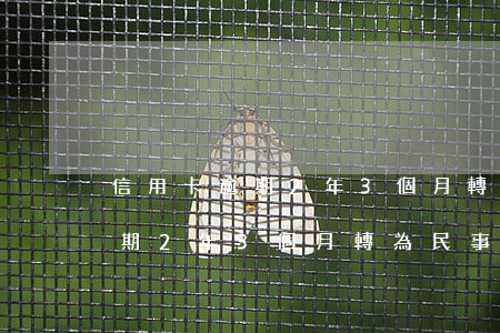 信用卡逾期2年3個月轉為民事-信用卡逾期2年3個月轉為民事訴訟