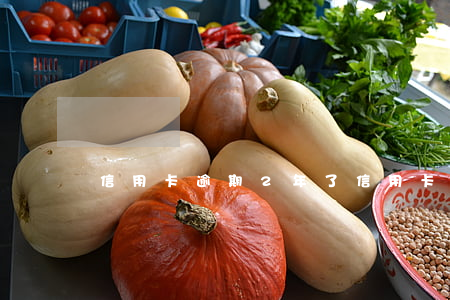 信用卡逾期2年了(信用卡逾期2年了能買房嗎)
