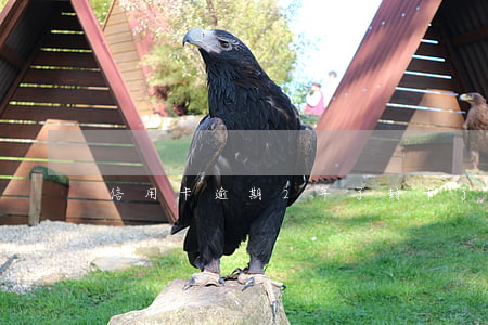 信用卡逾期2年了封卡了(信用卡逾期很多年)