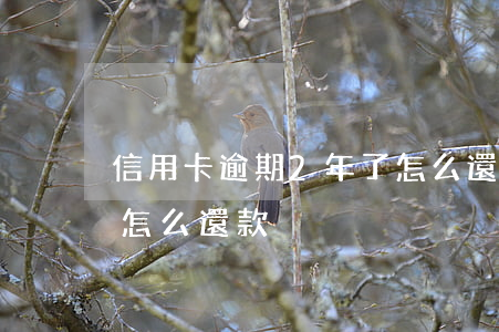 信用卡逾期2年了怎么還(信用卡逾期2年了怎么還款)