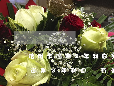 信用卡逾期2年利息多少(信用卡10000逾期2年利息會有多錢)