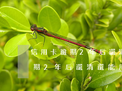 信用卡逾期2年后還清還能用嗎-信用卡逾期2年后還清還能用嗎知乎