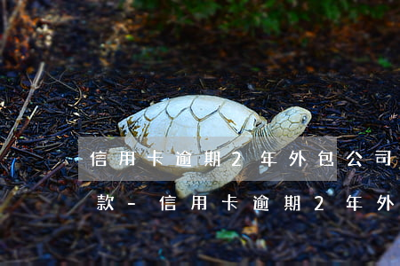 信用卡逾期2年外包公司協(xié)商還款-信用卡逾期2年外包公司協(xié)商還款有影響嗎