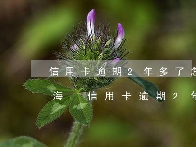 信用卡逾期2年多了怎么協(xié)商上海-信用卡逾期2年多了怎么協(xié)商上海銀行