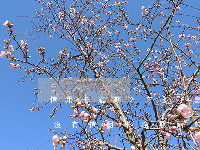 信用卡逾期2年多了會(huì)起訴嗎 有沒有信用卡逾期兩年的