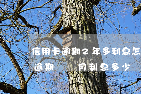 信用卡逾期2年多利息怎么算(兩萬的信用卡逾期兩個月利息多少)