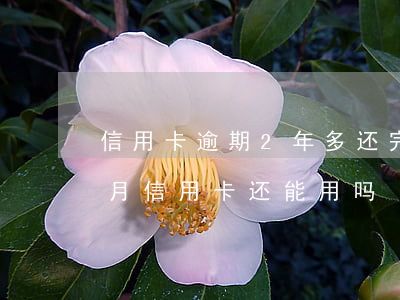 信用卡逾期2年多还完了还能用吗 逾期两个月信用卡还能用吗