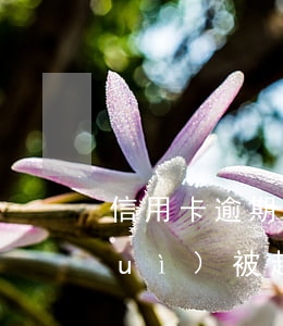信用卡逾期2年失蹤會(huì)不會(huì)被起訴-信用卡逾期2年失蹤會(huì)不會(huì)被起訴呢