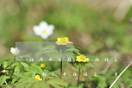信用卡逾期2年征信上會有顯示么-信用卡逾期2年征信上會有顯示么嗎