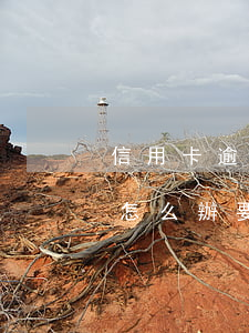 信用卡逾期2年怎么上岸(信用卡逾期2年了怎么辦要坐牢嗎)