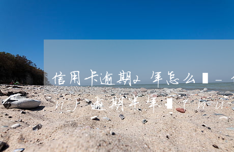 信用卡逾期2年怎么樣-信用卡2萬(wàn)逾期半年會(huì)怎么樣