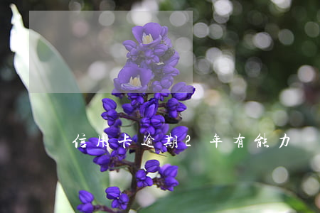 信用卡逾期2年有能力還款了