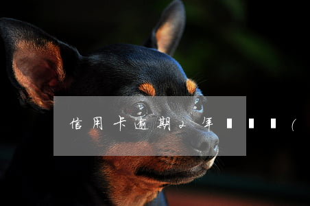信用卡逾期2年沒還會(huì)怎么樣呢