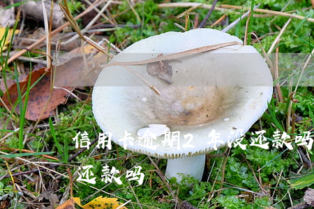 信用卡逾期2年没还款吗(信用卡逾期2年没还款吗)