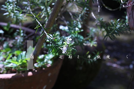 信用卡逾期2年能做車(chē)嗎