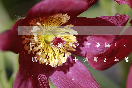 信用卡逾期2年能協(xié)商分期還款嗎-信用卡逾期2年能協(xié)商分期還款嗎