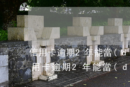 信用卡逾期2年能當(dāng)法人吧(信用卡逾期2年能當(dāng)法人吧)