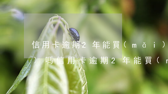 信用卡逾期2年能買(mǎi)車(chē)嗎(信用卡逾期2年能買(mǎi)車(chē)嗎)