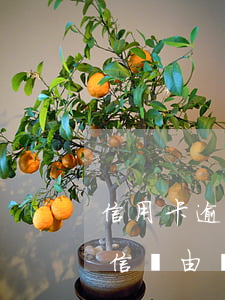 信用卡逾期2年詐騙判多久(以信用卡逾期失信為由詐騙)