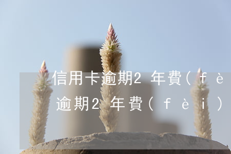 信用卡逾期2年費(fèi)用多少(信用卡逾期2年費(fèi)用多少)