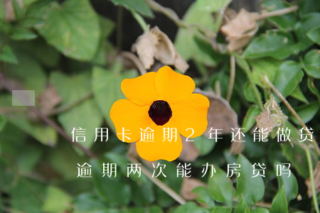 信用卡逾期2年还能做贷款吗(两年前信用卡逾期两次能办房贷吗)