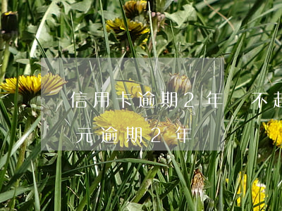 信用卡逾期2年還不起上海(信用卡8000元逾期2年)