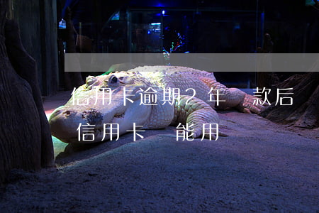 信用卡逾期2年還款后還能用嗎(逾期還清后信用卡還能用嗎)