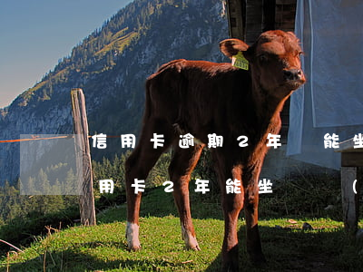 信用卡逾期2年還能坐飛機(jī)嗎(欠信用卡2年能坐飛機(jī)嗎)
